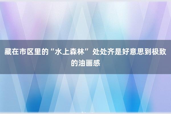   藏在市区里的“水上森林” 处处齐是好意思到极致的油画感