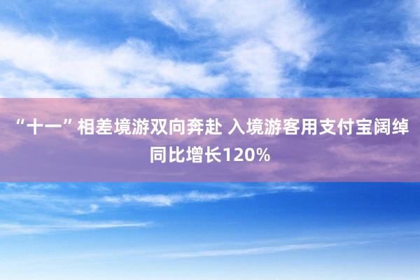   “十一”相差境游双向奔赴 入境游客用支付宝阔绰同比增长120%