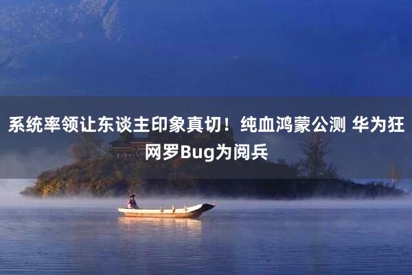   系统率领让东谈主印象真切！纯血鸿蒙公测 华为狂网罗Bug为阅兵