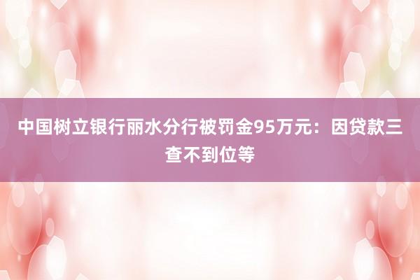   中国树立银行丽水分行被罚金95万元：因贷款三查不到位等