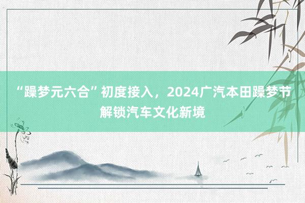   “躁梦元六合”初度接入，2024广汽本田躁梦节解锁汽车文化新境